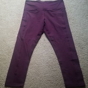 Senita plum Ellie tights